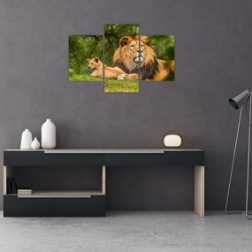 Tablou cu lei (90x60 cm)