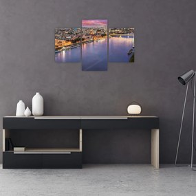 Tablou cu orașul Bratislava cu râu (90x60 cm)