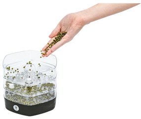 Bol de germinare Flower Lover Mungo, gri antracit