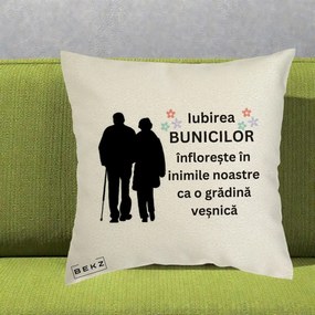 Cadou pentru Bunici - Perna Personalizata Bunicii Iubirea Infloreste Silueta Neagra Flori, 40x40 cm, Ecru, Husa Detasabila, Perna Inclusa, BEKZ®