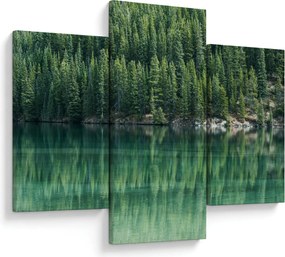 Tablou - Coniferi lângă lac (90x60 cm)