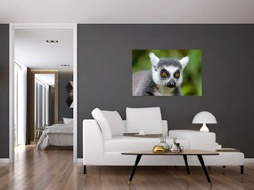 Tablou cu lemur (90x60 cm)