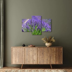 Tablou - lavanda (90x60 cm)