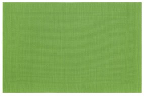 Suport farfurie 30x45cm, verde deschis, Velvet