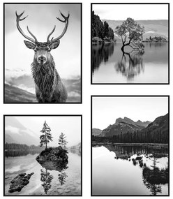 Tablouri 4 buc. 30x40 cm Wild