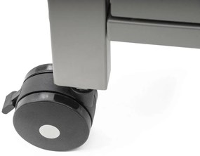 Grătar cu gaz G21 Oklahoma BBQ Premium Line 3arzătoare + reductor gratuit