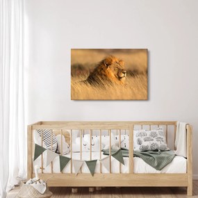 Tablou - Parcul Național Etosha (90x60 cm)