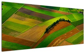 Tablou - Lan, luncile (120x50 cm)