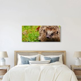 Tablou cu arici (120x50 cm)