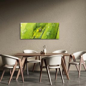 Tablou cu șarpe (120x50 cm)