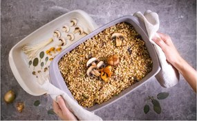 Vas de copt din gresie 27x43 cm Delicia – Tescoma