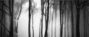 Tablou - Lup în pădurea întunecată (120x50 cm)