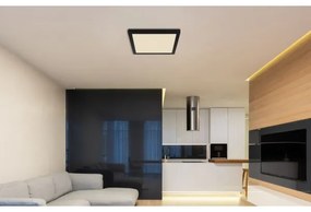 Plafonieră LED LASSE LED/24W/230V 3000/4000/6500K neagră Globo 12380-24B