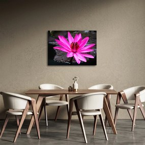 Tablou - floarea roz (70x50 cm)