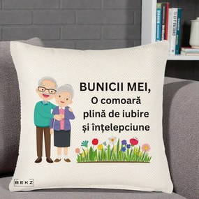 Cadou pentru Bunici - Perna Personalizata Bunicii Mei Comoara Cuplu Senior cu Flori Colorat, 40x40 cm, Crem Reliefat, Husa Detasabila, Perna Inclusa, BEKZ®