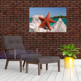 Tablou cu stea de mare (90x60 cm)