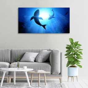 Print pe canvas Doi rechini