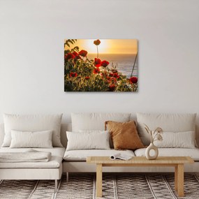 Tablou cu apus de soare cu flori de maci (70x50 cm)