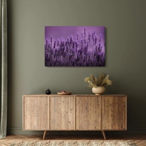 Tablou - Lavanda (90x60 cm)