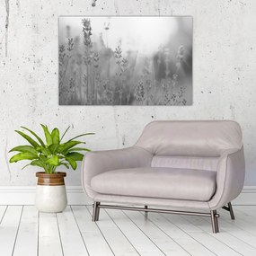 Tablou - Lavanda (90x60 cm)