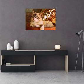 Tablou pe sticlă cu pisica în ghiveci (70x50 cm)