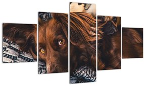 Tablou cu câini dormind (125x70 cm), în 40 de alte dimensiuni noi