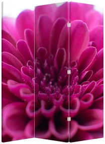 Paravan - Floare (126x170 cm)