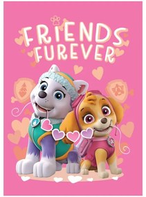 Patrula Cățelușilor Friends Furever pătură din fleece 100x140cm