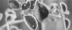 Tablou - Natura în toamnă (120x50 cm)