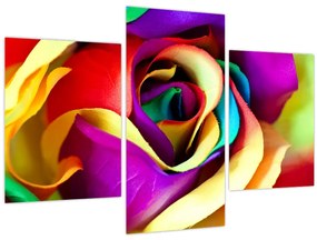 Tablou - Trandafir colorat (90x60 cm)