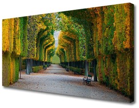 Tablou pe panza canvas Parcul de toamnă Grădină Natura Verde Galben