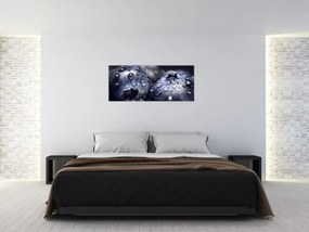 Tablou cu fructe cu picături de apă (120x50 cm)