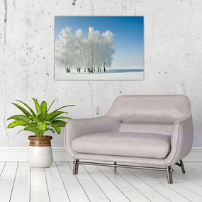 Tablou - Peisaj înzăpezit (70x50 cm)