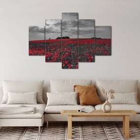 Tablou cu maci (150x105 cm)