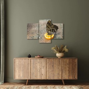 Tablou cu fluturi (90x60 cm)