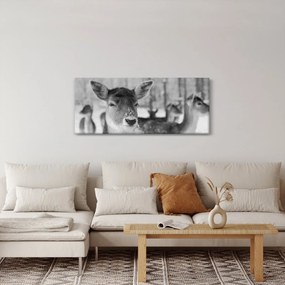Tablou - Cerbi,alb-negru (120x50 cm)