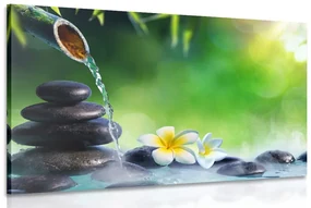 Tablou armonie într-o grădină Zen