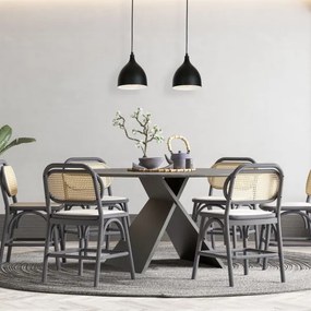 Lustră pe cablu NOAK 2xE27/15W/230V negru