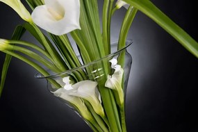 Aranjament floral elegant din cale albe, ETERNITY VANESSA 1141492.95