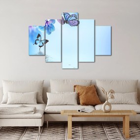 Tablou - Fluture pe flori de orhidee, albastru (150x105 cm)