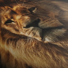 Tablou - Leu cu o coamă bogată (120x50 cm)