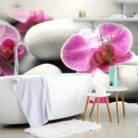 Fototapet flori de orhidee pe pietre
