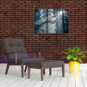 Tablou cu copaci și soarele translucind (70x50 cm)