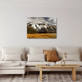 Tablou pe sticlă cu mutele Sefton, Noua Zeealnda (70x50 cm)