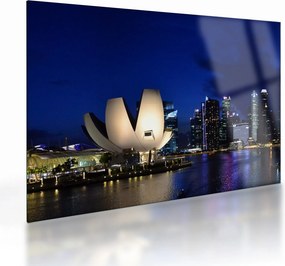 Tablou pe sticlă Singapore nocturn (70x50 cm)