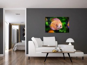 Tablou cu pește (90x60 cm)