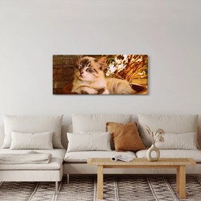 Tablou cu pisica în ghiveci (120x50 cm)