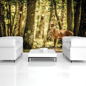 Fototapet - Cerb (152,5x104 cm)