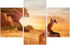 Tablou Girafe în Africa (90x60 cm)