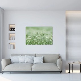 Tablou - Roua dimineții pe firele de iarbă (90x60 cm)